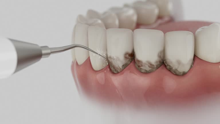 Reliable Dental contractor in Huntington, WV by Dentist Open Now
